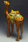 A LARGE TANG DYNASTY SANCAI-GLAZED POTTERY CAMEL