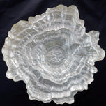 LARGE VINTAGE ART GLASS OYSTER SHAPED CENTERPIECE SHALLOW BOWL LATE 20TH C, LATE 20TH CENTURY, UNITED STATES