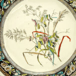 COPELAND SWEET PEA PLATE POLYCHROME TRANSFERWARE 19TH CENTURY, LATE 19TH CENTURY, UNITED STATES, CERAMIC