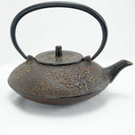 VINTAGE JAPANESE CAST IRON TEAPOT THREE WINTER FRIENDS MOTIF, EARLY 20TH CENTURY