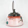 VICTORIAN PAINTED GLASS BISCUIT JAR SILVER PLATE MOUNT CIRCA 1890, LATE 19TH CENTURY, UNITED STATES