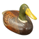 ANTIQUE FOLK ART WOOD MALLARD DUCK CIRCA 1900-1920’S, EARLY 20TH CENTURY, UNITED STATES