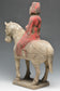 A CHINESE TANG DYNASTY PAINTED POTTERY HORSE AND RIDER