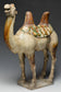 A TANG DYNASTY SANCAI-GLAZED POTTERY CAMEL WITH OXFORD TL TEST