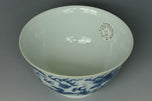 A QING DYNASTY DRAGON BOWL SHENDETANG MARK DAOGUANG PERIOD