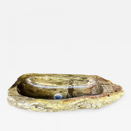Petrified Wood Sink, Beige, Yellow, Brown Tones, Organic Modern
