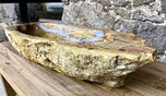 Petrified Wood Sink, Beige, Yellow, Brown Tones, Organic Modern