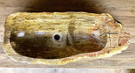 Petrified Wood Sink, Beige, Yellow, Brown Tones, Organic Modern