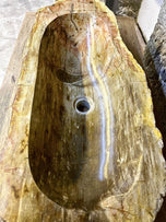 Petrified Wood Sink, Beige, Yellow, Brown Tones, Organic Modern