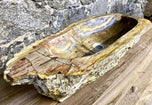 Petrified Wood Sink, Beige, Yellow, Brown Tones, Organic Modern
