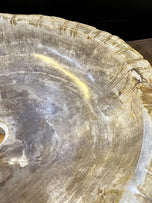 PETRIFIED WOOD SINK, GREY, BEIGE, ORGANIC MODERN, TOP QUALITY