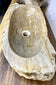 Petrified Wood Sink, Grey, Beige, Polished, Top Quality, IDN 2023
