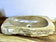 Petrified Wood Sink, Grey, Beige, Polished, Top Quality, IDN 2023