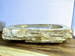 Petrified Wood Sink, Grey, Beige, Polished, Top Quality, IDN 2023