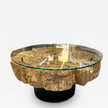 MODERN, ORGANIC, DRIFTWOOD SOFA, COFFEE TABLE, GLASS