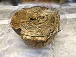 MODERN, ORGANIC, DRIFTWOOD SOFA, COFFEE TABLE, GLASS