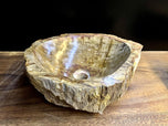 PETRIFIED WOOD SINK, BEIGE, BROWN, YELLOW, POLISHED