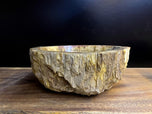 PETRIFIED WOOD SINK, BEIGE, BROWN, YELLOW, POLISHED