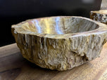 PETRIFIED WOOD SINK, BEIGE, BROWN, YELLOW, POLISHED