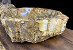 PETRIFIED WOOD SINK, BEIGE, BROWN, YELLOW, POLISHED