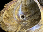 PETRIFIED WOOD SINK, BEIGE, BROWN, YELLOW, POLISHED