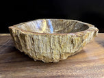 PETRIFIED WOOD SINK, BEIGE, BROWN, YELLOW, POLISHED