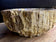 PETRIFIED WOOD SINK, BEIGE, BROWN, YELLOW, POLISHED
