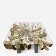 MODERN, ORGANIC, TEAK ROOT, COFFEE TABLE, GLASS PLATE, INDONESIA, 2022