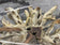 MODERN, ORGANIC, TEAK ROOT, COFFEE TABLE, GLASS PLATE, INDONESIA, 2022