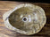 PETRIFIED WOOD SINK, BEIGE, BROWN, GREY TONES, ORGANIC MODERN, TOP QUALITY