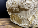 PETRIFIED WOOD SINK, BEIGE, BROWN, GREY TONES, ORGANIC MODERN, TOP QUALITY