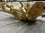 BLEECHED TEAK ROOT SOFA, COFFEE TABLE, INDONESIA, 2022