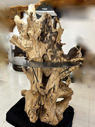 GIGANTIC, TEAK ROOT, ORGANIC MODERN