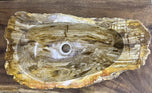 Petrified Wood Sink, Top Quality, Beige, Brown, Yellow Tones