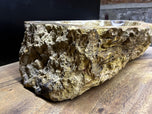 Petrified Wood Sink, Top Quality, Beige, Brown, Yellow Tones