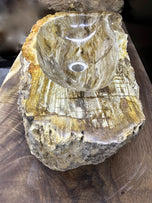 Petrified Wood Sink, Top Quality, Beige, Brown, Yellow Tones