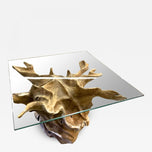 MODERN, TEAK ROOT, SIDE TABLE, SAFETY GLASS, INDONESIA, 2024