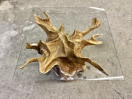 MODERN, TEAK ROOT, SIDE TABLE, SAFETY GLASS, INDONESIA, 2024