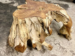 CONTEMPORARY, INDONESIA, TEAK ROOT COFFEE TABLE, MODERN ORGANIC