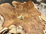 CONTEMPORARY, INDONESIA, TEAK ROOT COFFEE TABLE, MODERN ORGANIC