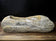 PETRIFIED WOOD SINK, ORGANIC MODERN, GREY, BEIGE, BROWN