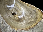 PETRIFIED WOOD SINK, ORGANIC MODERN, GREY, BEIGE, BROWN