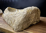 PETRIFIED WOOD SINK, ORGANIC MODERN, GREY, BEIGE, BROWN
