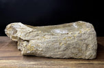 PETRIFIED WOOD SINK, ORGANIC MODERN, GREY, BEIGE, BROWN