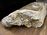 PETRIFIED WOOD SINK, ORGANIC MODERN, GREY, BEIGE, BROWN