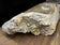 PETRIFIED WOOD SINK, ORGANIC MODERN, GREY, BEIGE, BROWN