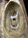 PETRIFIED WOOD SINK, ORGANIC MODERN, GREY, BEIGE, BROWN