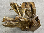 TEAK ROOT COFFEE TABLE, LAQUERED, INDONESIA, 2022