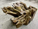 TEAK ROOT COFFEE TABLE, LAQUERED, INDONESIA, 2022