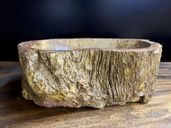 CONTEMPORARY, PETRIFIED WOOD SINK, BEIGE, BROWN, YELLOW, PINK, 2024